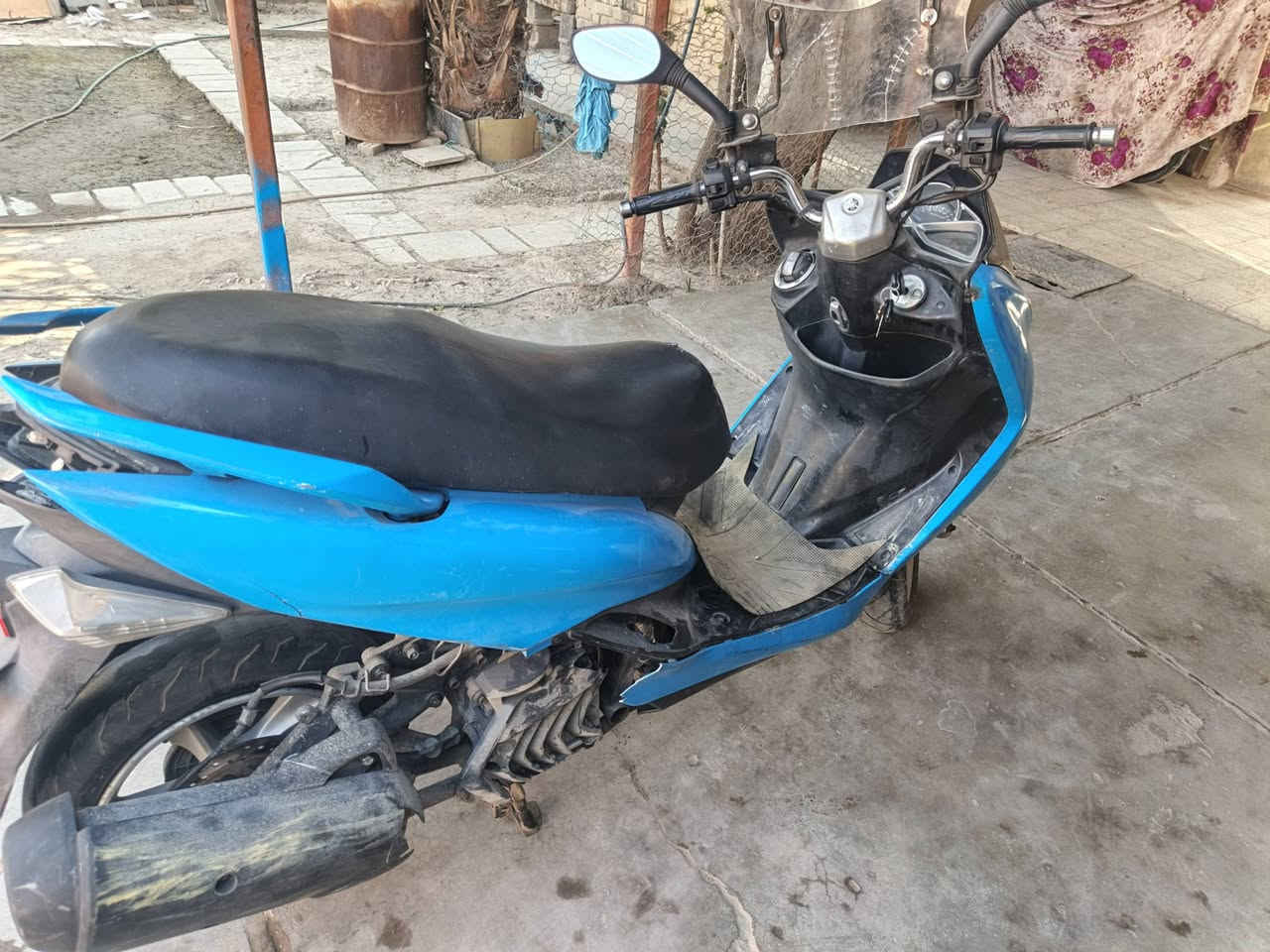 ماجستا اس شغاله بيها صوت خفيف تفيلس او زنجيل ما اعرف السعر 500 الف
***********
