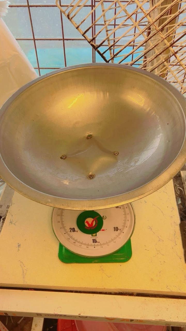 ميزان فيتنامي ستخدام قليل السعر30


**إذا كنت صاحب هذا الإعلان وتريد حذفه لأي سبب، رجاءا أرسل رسالة إلى الدعم الفني**