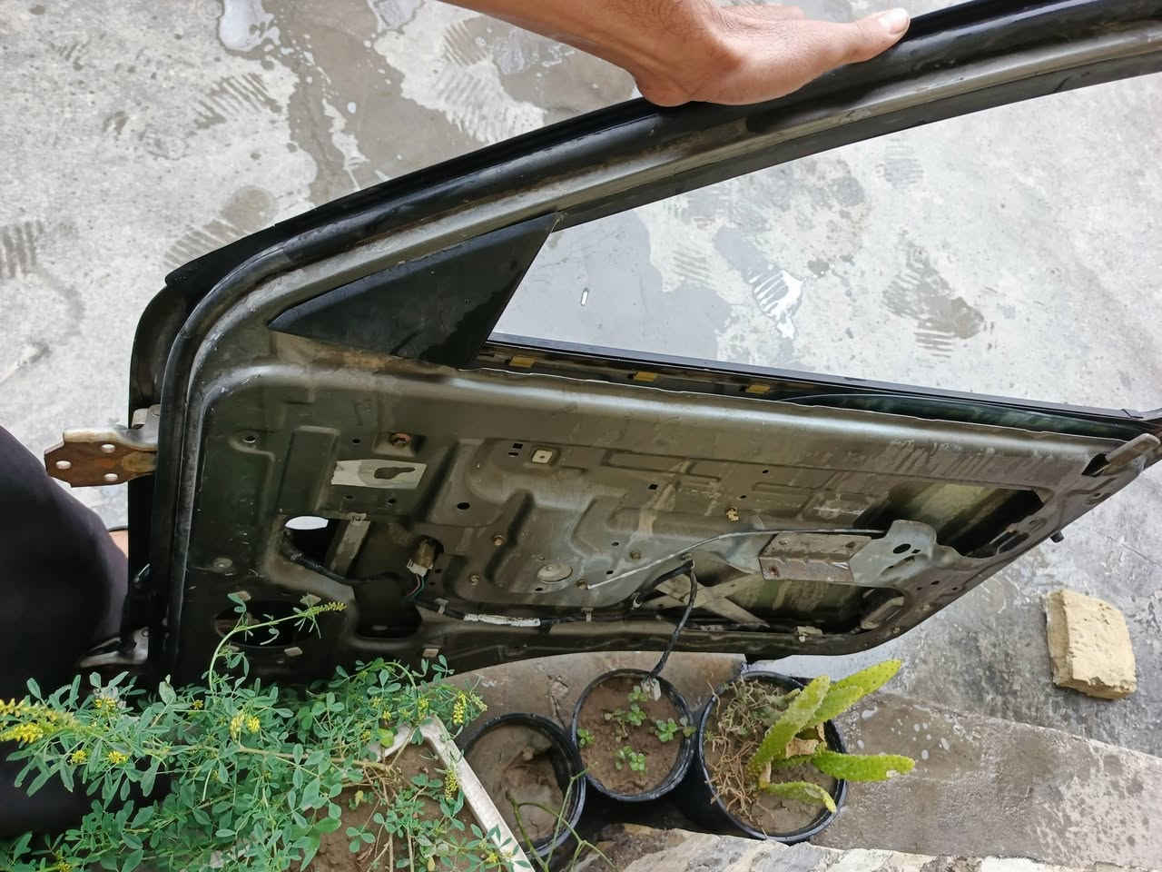 باب كصة حاوية للبيع كامل جامة ماطور سنتر لوك كهربائيات 
250 وبي مجال


**إذا كنت صاحب هذا الإعلان وتريد حذفه لأي سبب، رجاءا أرسل رسالة إلى الدعم الفني**