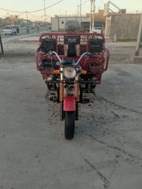 ستوتة دايوان موديل/2021/وراق صليه مكفولة كفاله عامه العنوان بغداد مدين...