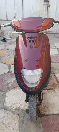 منغولي • جاهزه • سلف كهربا