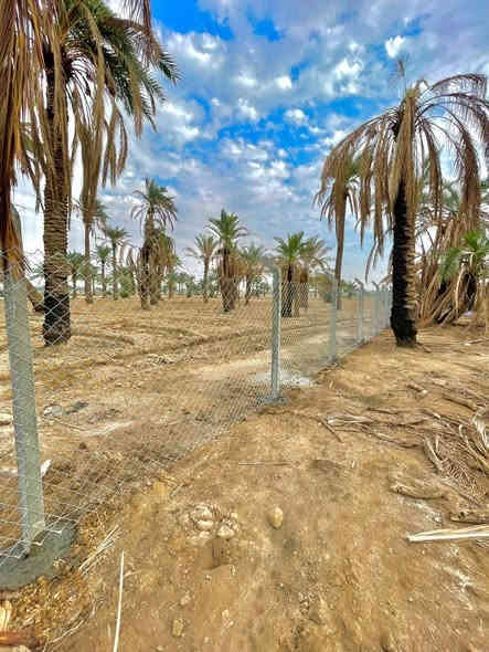 جانب من اعمالنا تبدى الاسعار من 5 الاف للمتر ولغاية 12 الف 
حسب مواصفات السيم 
حسب السمك 
حسب مسافة الدنك 
شرط السرعة ونضافة العمل ودقته 
انجازنه اليومي لايقل عن 500متر 
نعمل في كل انحاء العراق 
للتواصل ***********
