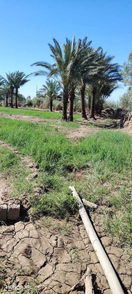 يا الله سلام عليكم ارض زراعيه للبيع دونم اونص معه بيت معه كراجات ٢ معه محصار ماء وكهرباء مكان ناضم رقم ٤ بصفحت الشط 
 خاص ماجاوب ستفسار ***********
