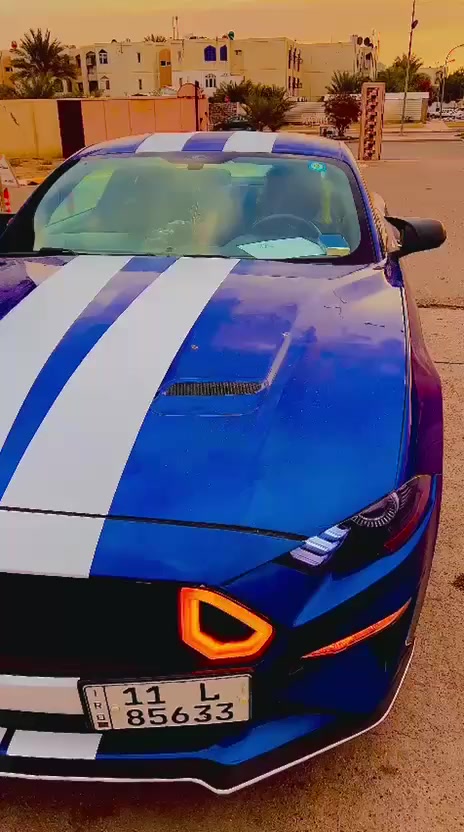 موستنك 2018 وارد أمريكي 
3 قطع صبغ 
سعر 140وبيه مجال 
***********
