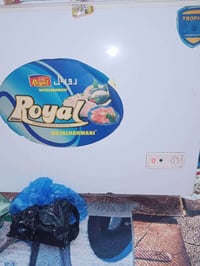 مجمدة • شغالة • الدجيل