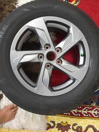 تخم ويل • حجم ١٦ • جديدة