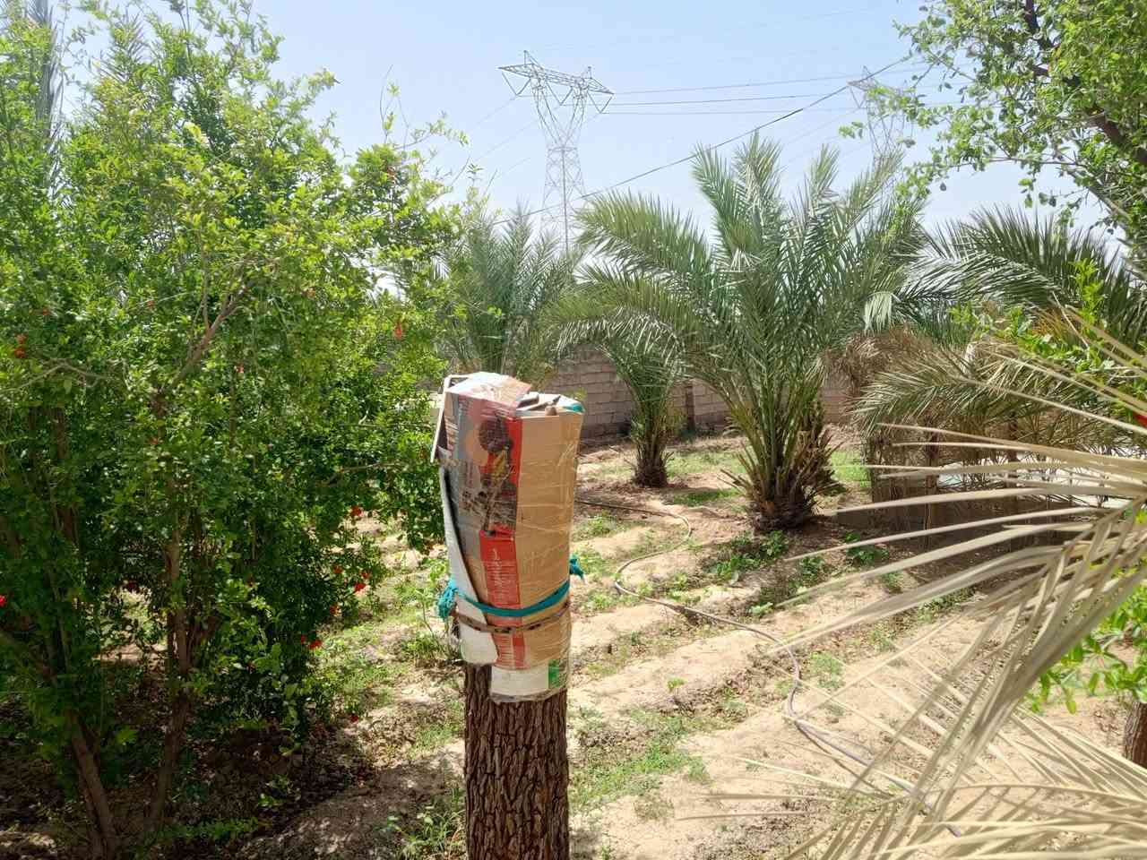 قطعة ارض للبيع 1500 متر مع دار متكون من غرفتين نوم +صالة +مطبخ +ستقبال + حمام داخل البيت + صحيات خارجية . العنوان تقاطع النهروان مقابل اسواق القمة .اي ستفسار على الرقم ***********
