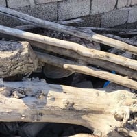 حطب يابس • مكصوص • ابي الخصيب الصنكر