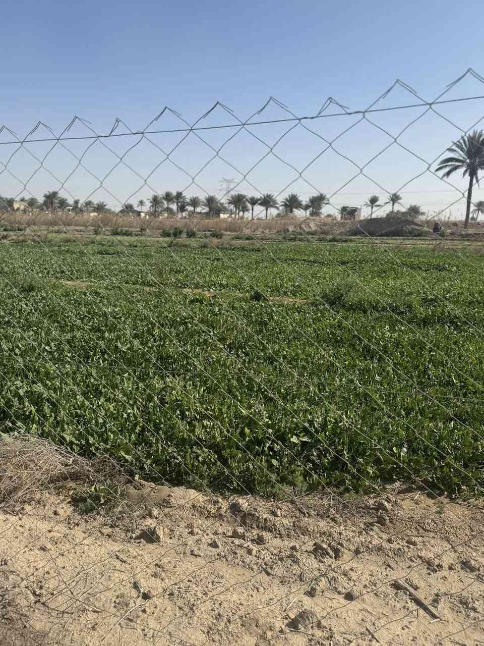 فرصة مميزة للراغبين بالاستثمار أو السكن 👌
تتوفر قطع أراضي بمساحات كبيرة وموقع ممتاز على طريق حلة – نجف، قريبة من الخدمات والطريق العام.

✔️ موقع استراتيجي

✔️ مناسبة للسكن أو المشاريع

✔️ أسعار مناسبة وقابلة للتفاوض

للاستفسار والمزيد من التفاصيل يرجى التواصل ***********
