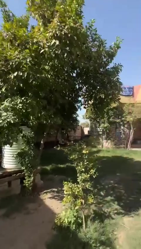 اسلام عليكم دونم وربع معه بيتين علا تبليط مباشر خدمات كامله طويريج علا طريق الخيرات مدارس يبعد عنهن 100متر اي استفسار علا الرقم ***********.             ***********واتساب اكو
