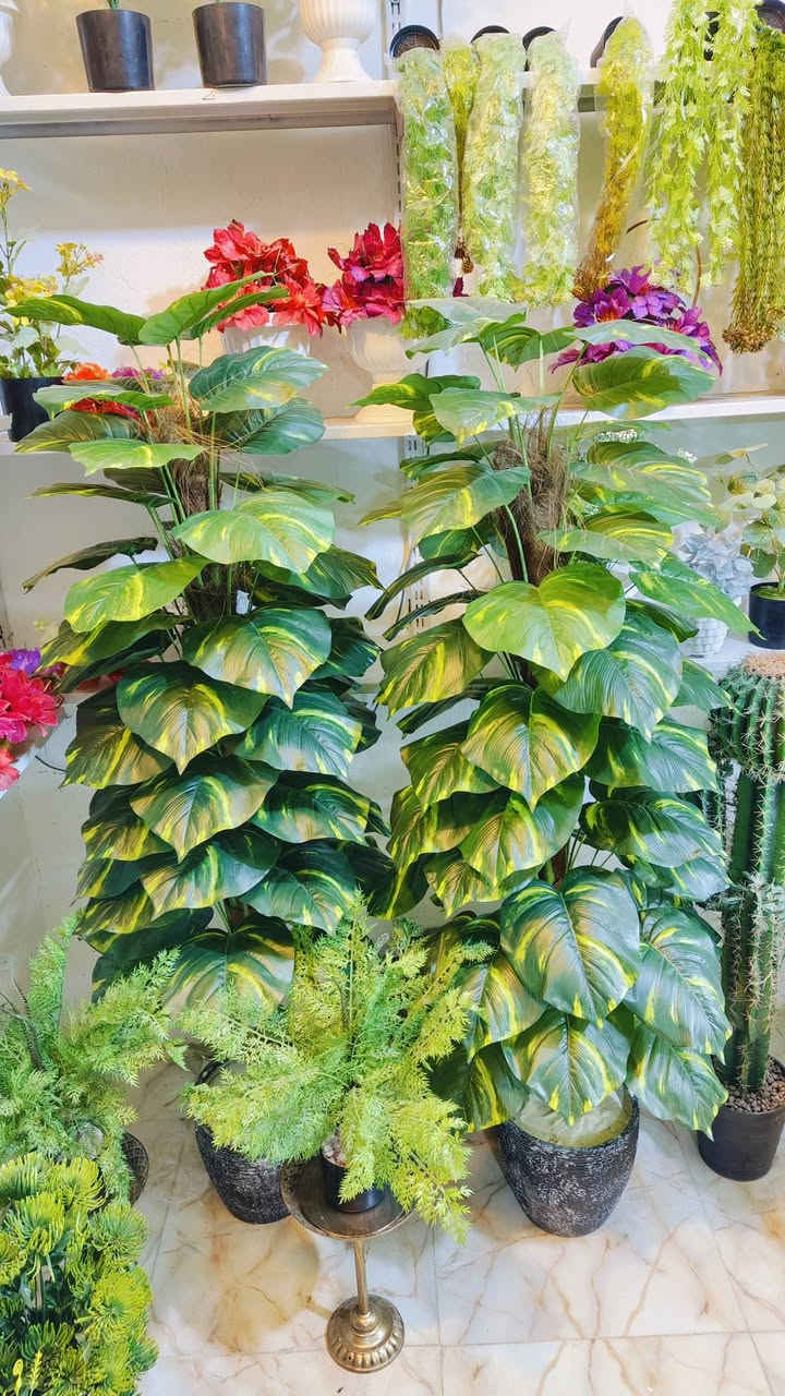 عيوني  مفتحين بليل مع نهار وهلان وسهلان بجميع 
.اشكال وموديلات مختلفه من الأشجار الصناعيه
عنوان المحل #واسط قضاء #النعمانيه 
 الشيشان الجديد الشارع الرابع
   محل الغيث للتسويق المنزلي


**إذا كنت صاحب هذا الإعلان وتريد حذفه لأي سبب، رجاءا أرسل رسالة إلى الدعم الفني**