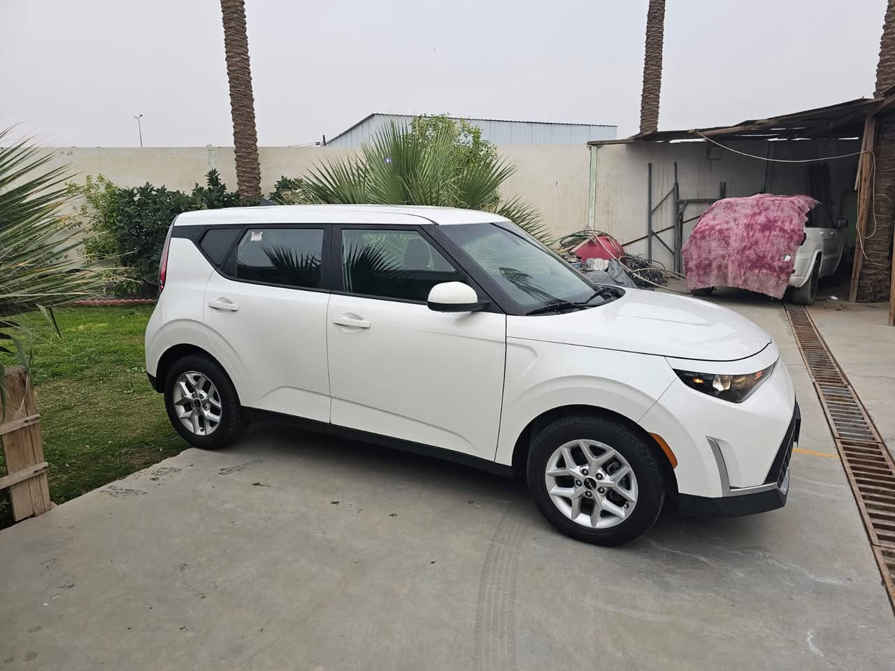 كيا صول 2023
محرك 2000 دوش
السعر 172 مرقم اربيل تحويل او وكالة
صور الحادث مرفقه
للشراء الحضور الى معرضنا في الديوانية /نهاية شارع الزراعه /خلف البالات مقابل بيت القائد
موقعنا على خرائط كوكل 
https://maps.google.com/maps?q=31.9808691%2C44.9114847...
ا-------------------------------------------------------------------------
ضغط على الرابط  صفحه ليصلك كل ماهو جديد 
https://web.facebook.com/%D8%A7%D9%84%D8%B4%D8%A7%D8%B1%D9%82%D8%A9-%D9%84%D8%AA%D8%AC%D8%A7%D8%B1%D8%A9-%D8%A7%D9%84%D8%B3%D9%8A%D8%A7%D8%B1%D8%A7%D8%AA-%D8%A7%D9%84%D8%A7%D9%85%D8%B1%D9%8A%D9%83%D9%8A%D8%A9-1100095360196333
--------------------------------------------------------------------------
اوالاتصال على الارقام التاليه
*********** #واتساب #تلكرام https://t.me/alsharqeh88
***********  #واتساب
***********
***********
--------------------------------------------------------------------------- 
اضغط على رابط واتساب للتواصل  معنا 
https://api.whatsapp.com/send/?phone=%2B964***********...
اوقات الدوام من الساعه 2 ظهرا ولغاية 11 ليلاً
