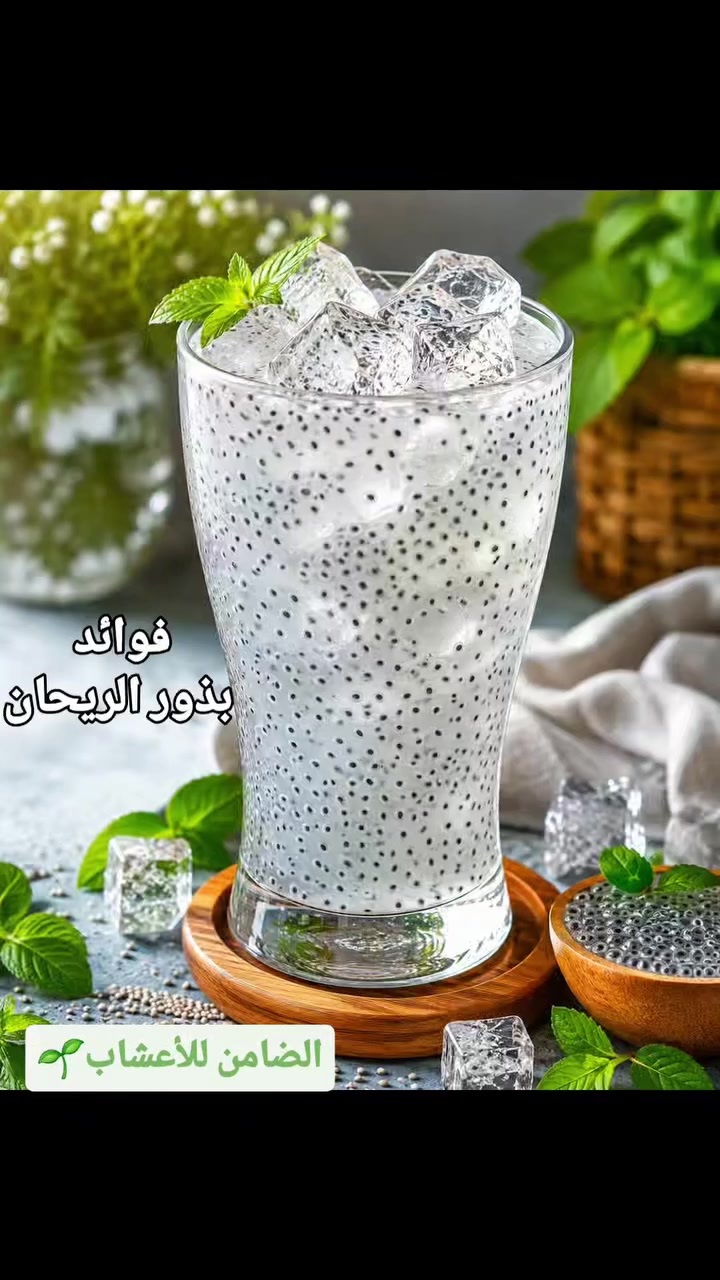 بذور الريحان (البلنكو)

مشروب طبيعي ومنعش في فصل الصيف🥤 

فوائده

🌸 مبرد ومطفئ للعطش: يستعمل كثيرًا في الصيف كشراب منعش.

🌸 مقوٍّ للمعدة: يساعد على الهضم ويخفف من الحموضة والحرقة.

🌸 ملطف للصدر: نافع في السعال، التهابات الحلق والبلغم.

🌸 مدرّ للبول: يُستعمل لتخفيف حرقة البول والتهابات المثانة والمجاري البولية.

🌸 مهدّئ للأعصاب: يبعث على الراحة ويقلل من التوتر والقلق.

🌸 مليّناً طبيعياً وخفيفاً على الأمعاء.

🍸يقدم باردا ويمكن اضافه الليمون او النعناع 

#اكسبلور #منتجات_طبيعية #ريلز_explor


**إذا كنت صاحب هذا الإعلان وتريد حذفه لأي سبب، رجاءا أرسل رسالة إلى الدعم الفني**