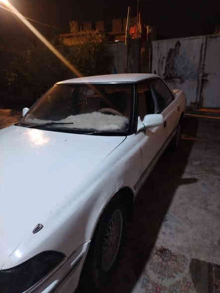 سلام عليكم مارك كصيف للبيع مكفوله كص ونغل***********
السعر 33 
مكاني بصره ابو الخصيب
