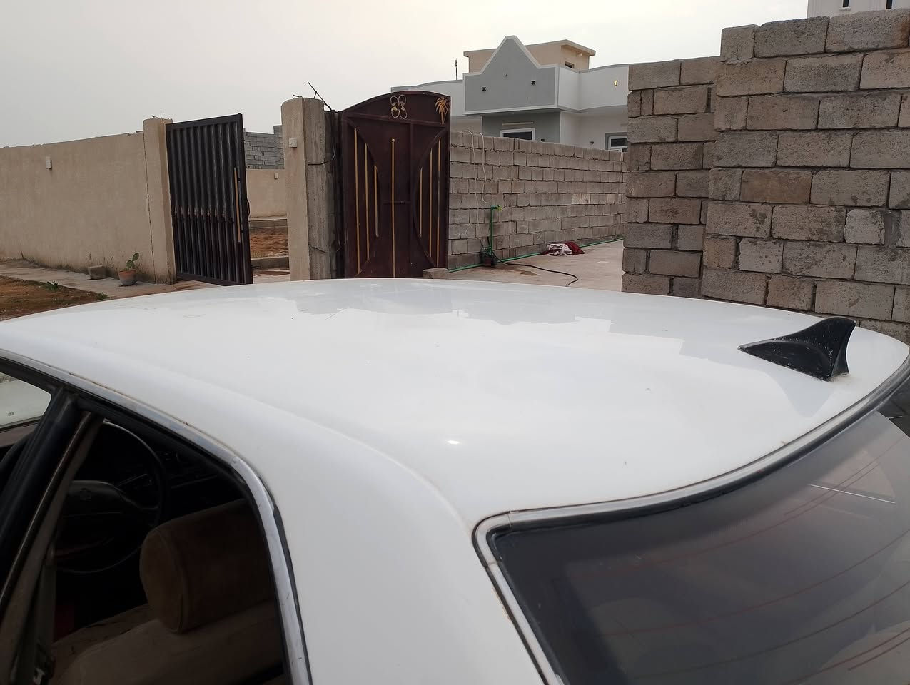 السلام عليكم
للبيع كراون هارتوب موديل 1991رقم ديالى كير مكينه جدد السياره بدون صبغ جاهزه ما بيها نقص كلوب تدفئه تبريد شغالات كهرائياتها كلها شغاله مكان السياره صلاح الدين بلد السعر 45وبيها مجال ***********
