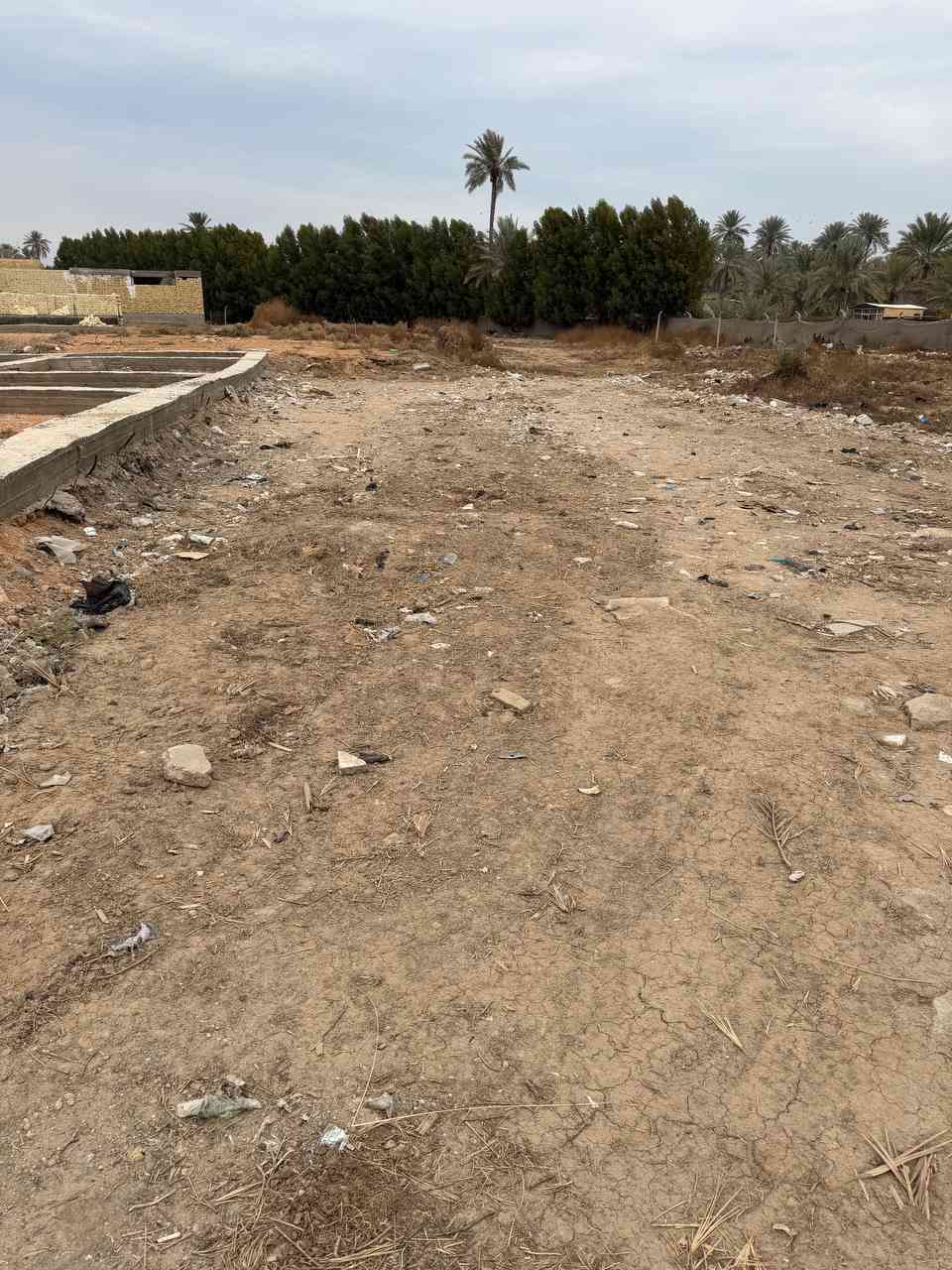 قطعة للبيع المساحة 200m زراعي سند 25 طويريج خلف حي الكردي ع سنيه مدفونه وجاهزه
***********
