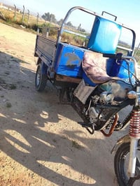 ستوته • نجف • اصولي