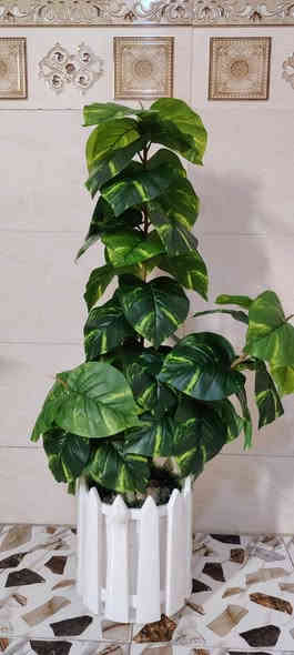 إذا أردت😍 أن ترى روح 🏞️الطبيعة فعليك 🌹💐بالورد أبهى تشكيلة لهذا الأسبوع
بجميع الأنواع و الأحجام  و  زيني بيتك والمكتب  تشكيلة😉 ورود للزينة متنوعة🥰 الوان زاهية ومعبرة
الوان واشكال🏵️❤️‍🔥❤️‍🔥 ترد الروح 
متوفرين في🫡 بيج اضواء كربلاء 😉بأحسن الأسعار 
للطلب راسل البيج او الاتصال ب الرقم *********** والتساب ***********
