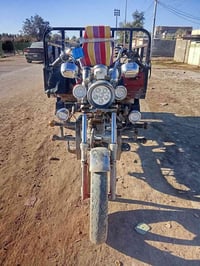 07782515376 شباب ستوته للبيع 2015