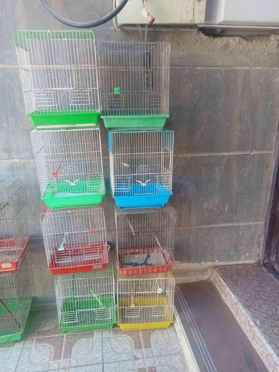 اقفاص عدد ٣٠ مستعمل شي قليل
سعر الواحد ٣٥٠٠
شلع ب١٠٠ 
بيهن ٣ حجم كبير 
١٩ حجم وسط 
٨ حجم صغير 
النظافة ٩٠٪ مثل ما ظاهر بالفيديو


**إذا كنت صاحب هذا الإعلان وتريد حذفه لأي سبب، رجاءا أرسل رسالة إلى الدعم الفني**