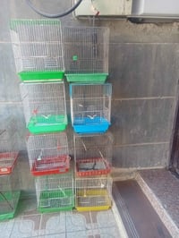 أقفاص • ٣٠قطعة • ٣كبير/١٩وسط/٨صغير