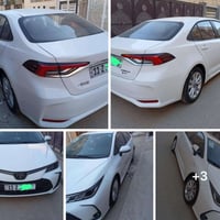 م 2025 كفاله ماشيه ١٥ 147 07722323700