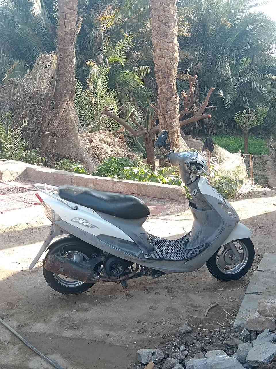 للبيع ماكس منغولي دراجه نضيفه مابيهه كل نقص مكاني رميثه


**إذا كنت صاحب هذا الإعلان وتريد حذفه لأي سبب، رجاءا أرسل رسالة إلى الدعم الفني**