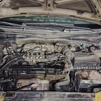 ريو كوري • ٢٠٠٩ • غاز وبنزين