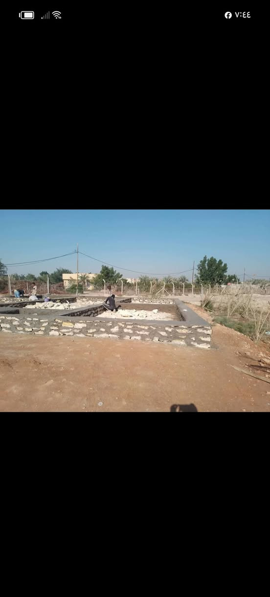 ***********+++***********
