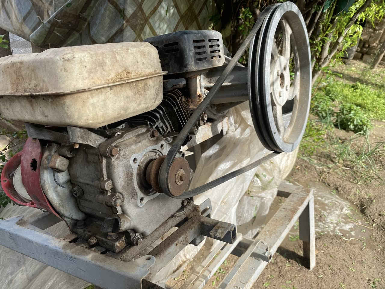 عجانه ام الجيس مكاني لحله الحمزه الغربي 
السعر 100وبيه مجال ابيعه ع وضعه 
***********
