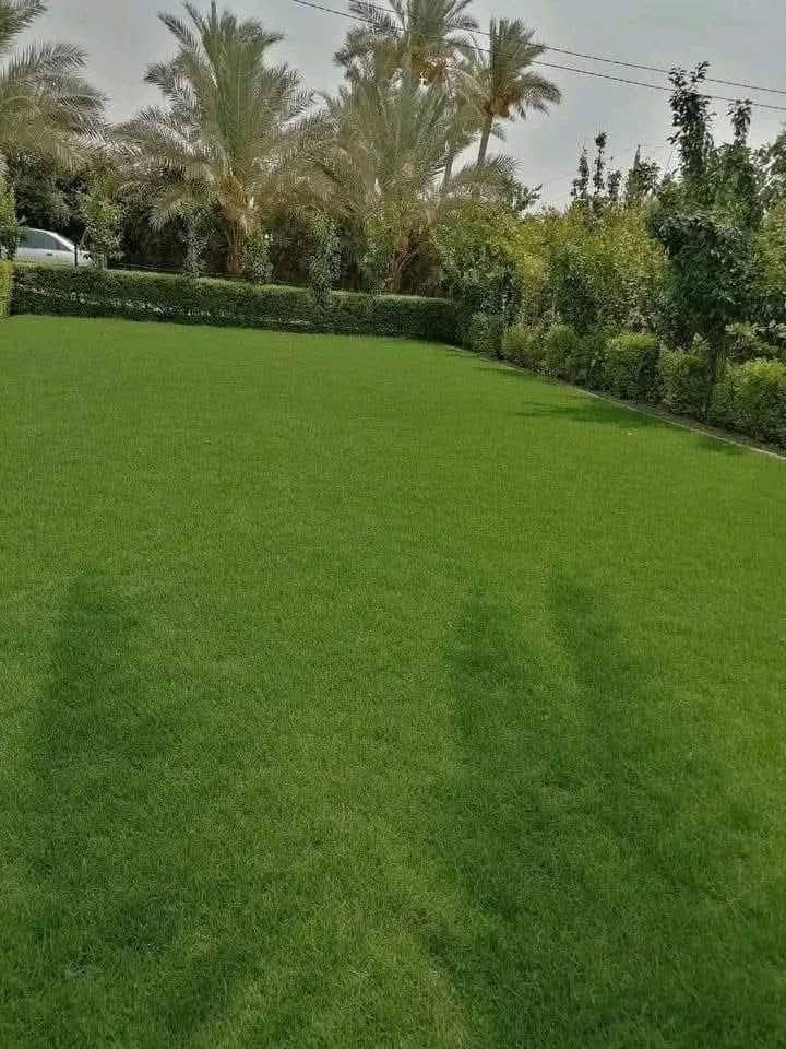 في بداية الموسم الجديد نعلن لكم بيع الثيل الهندي #درجة اولى خضار ١٠٠./. يتحمل جميع الظروف المناخيه
ثيل طبيعي وخضار ولا اروع 💚

نوعية ممتازة ودرجه اولى ⁦1️⃣⁩
ودائم الخضره 

ثيل #هندي  #امريكي   #ايطالي #انكليزي

اسعارنا الانسب وتوصيلنا الاسرع  لكافة محافظات العراق
لمعرفة المزيد راسل الصفحه او اتصل ***********/
*********** متوفر واتساب
