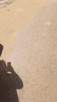 قطعة أرض للبيع 300 متر ماء كهرباء مجاري شارع تبليط شارع سيد عودة بغداد مدينه الصدر الحميدية
القطعه ركن
للستفسار اتصل ع الرقم ***********
