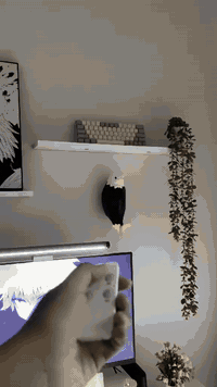 توفّرت أنارة النسر 🌟 السعر: 22,000 توصيل بغداد: 3,000 توصيل المحافظات:...