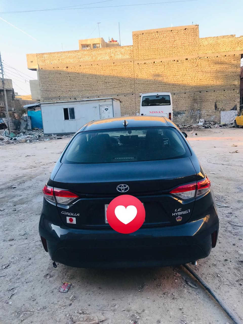 هايبرد وارد امريكي 
***********
