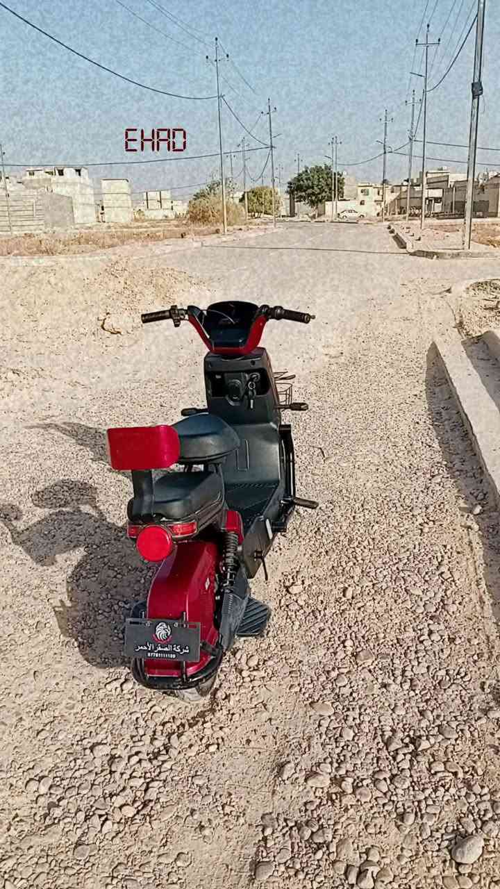 دراجه شحن موديل 2025  اباشي لدراجه جديده مواصفاته شاحن يو اس بي شاشه دجتل تقرا اي عطل بالدراجه مصفحة لايتات زنون +اللون  دراجه كامله بدون اي عطل حجم 16
سرعه60 

سعر الدراجه 375وبيها مجال حك الجيه

*********** واتساب +خط
