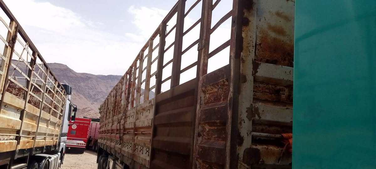 اجناب طول 13متر و 60سم العلو 175انضاف حتى ماصابقهم واضحات للبيع السعر 32 بغداد  متواجد واتساب وفيس ***********
***********
