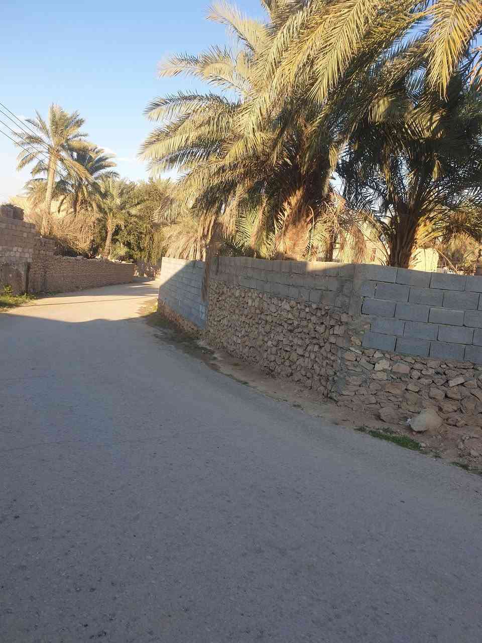 للبيع دار رقم مسجل في بلدية حقلانية 
 المساحة 
_______
425 متر مربع+ 175 فضلة المجموع 600 متر مربع

المواصفات
________
الواجهة ٢٤ م  ونزال ٢٥ م
الدار بناء  قديم شيلمان واصل كهرباء وماء 
وكما موضح في الصور

الموقع 
______
حقلانية بالقرب من  التانكي قرب مسجد المرتضى 

ملاحظة
_______
البيع بالنقد فقط
للاستفسار يرجى الاتصال على الأرقام التالية ***********
***********
مكتب عقارات الصفا
الانبار حديثة الحي العسكري قرب منفذ النواعير
