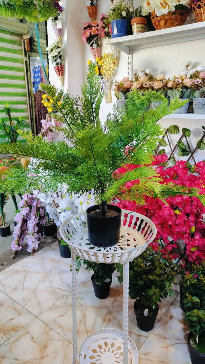 #واسط #نعمانيه 
.اشكال وموديلات مختلفه من الأشجار الصناعيه🌳 ترضي جميع الأذواق🌴مقاسات مختله...
عنوان المحل #واسط قضاء #النعمانيه 
 الشيشان الجديد الشارع الرابع
  محل الغيث للتسويق  محل الغيث للتسويق المنزلي


**إذا كنت صاحب هذا الإعلان وتريد حذفه لأي سبب، رجاءا أرسل رسالة إلى الدعم الفني**