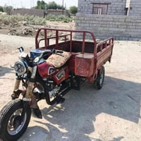 ستوته • موديل ١٥ • أوراق مكفولة