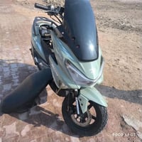 سترونك • ٢٠٢٣ • زينون