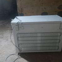 مجمدة • الرحماني • بحالة جيدة