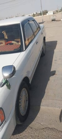 شباب سيارا ارناب للمراوس فقاط معا راس ثور فقاط نضافه تسعين بلميه رقم ل...