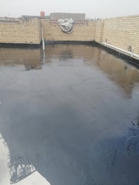 خدمات • رقم فقط