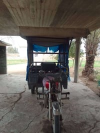 الستوته • الحويجة تل علي