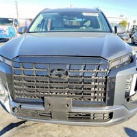 بلاسايد • ٢٠٢٥ • مزاد كوبارت