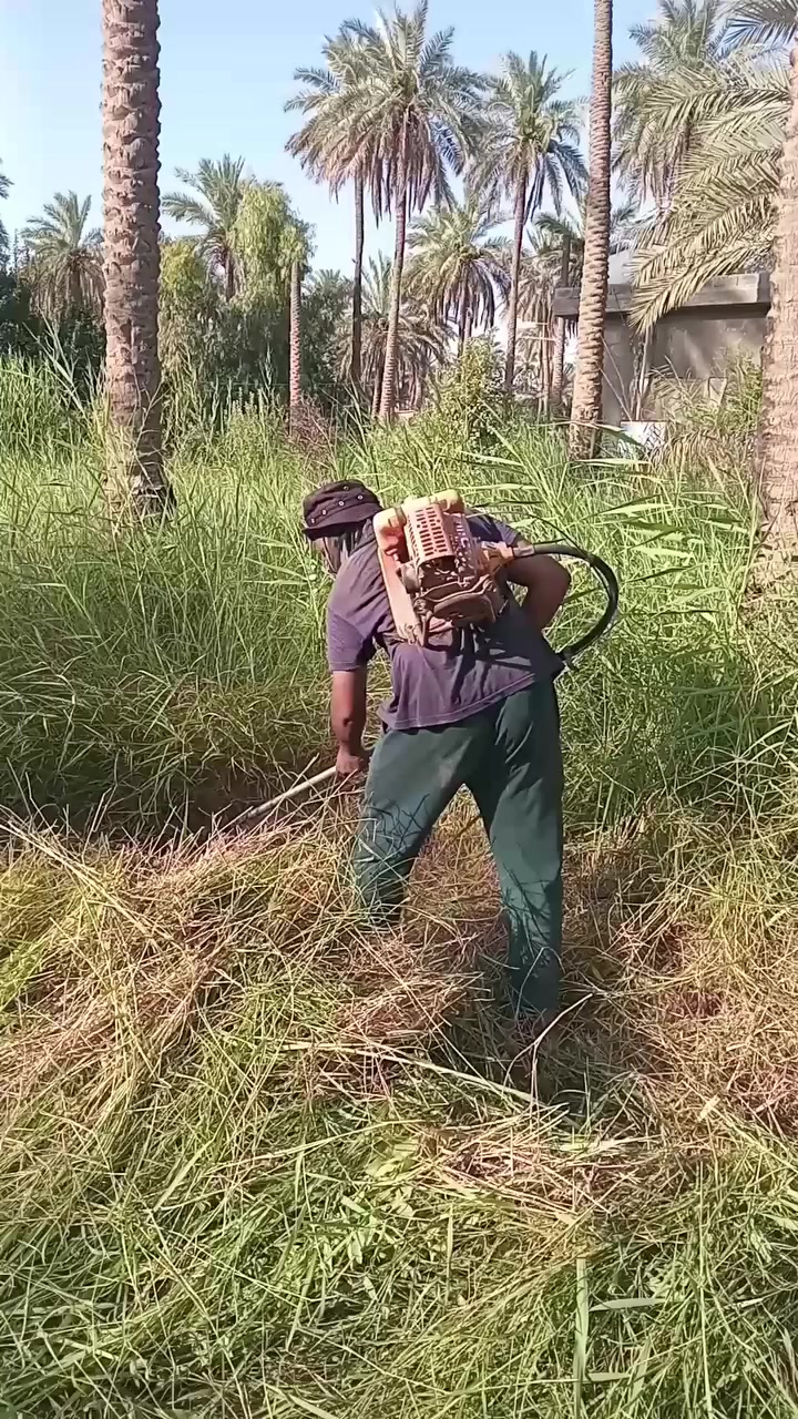 سلام عليكم ورحمة الله مره خصت الأدمن المحترم متوفر عمال لتنظيف البساتين وحفر صوندات اعمال حره قلع الأشجار والنخيل رفاس البساتين تسميد الأرض للتواصل ***********
