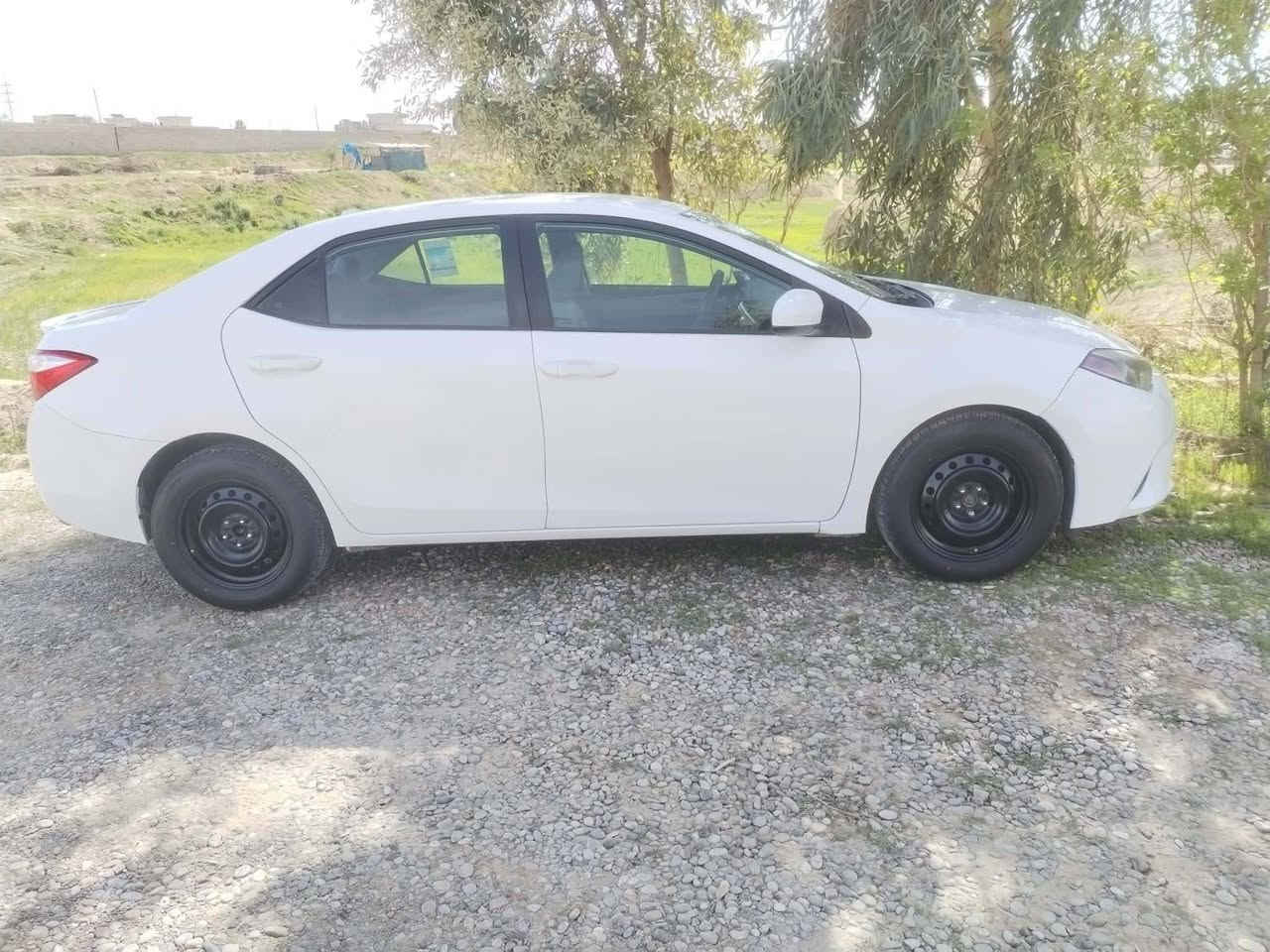 السلام عليكم للبيع. فقط. كورلا موديل 2016
ماشيه 133
گير ومحرك شرط 
ضرر جاملق وبنيد وباب خلف السايق بدون دواخل
صدر شركه تخم تاير جديد
السعرر137وبيها مجال
الاتصال ***********
