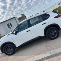 نيسان روغ • ٢٠٢٣ • رقم اربيل