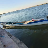 جنكوره • ١٥ ضراع • البصرة السيبة