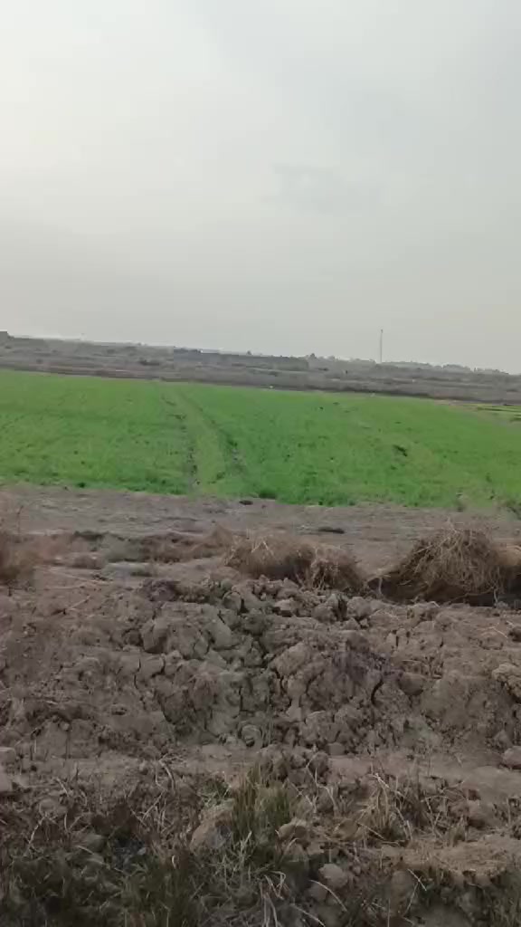 سلام عليكم أرض ٥ دونم للبيع سعر ٣٥٠٠ وبيها مجال *********** وموقع سومر شديده
